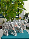 Royal Elephant Pair 5.5''