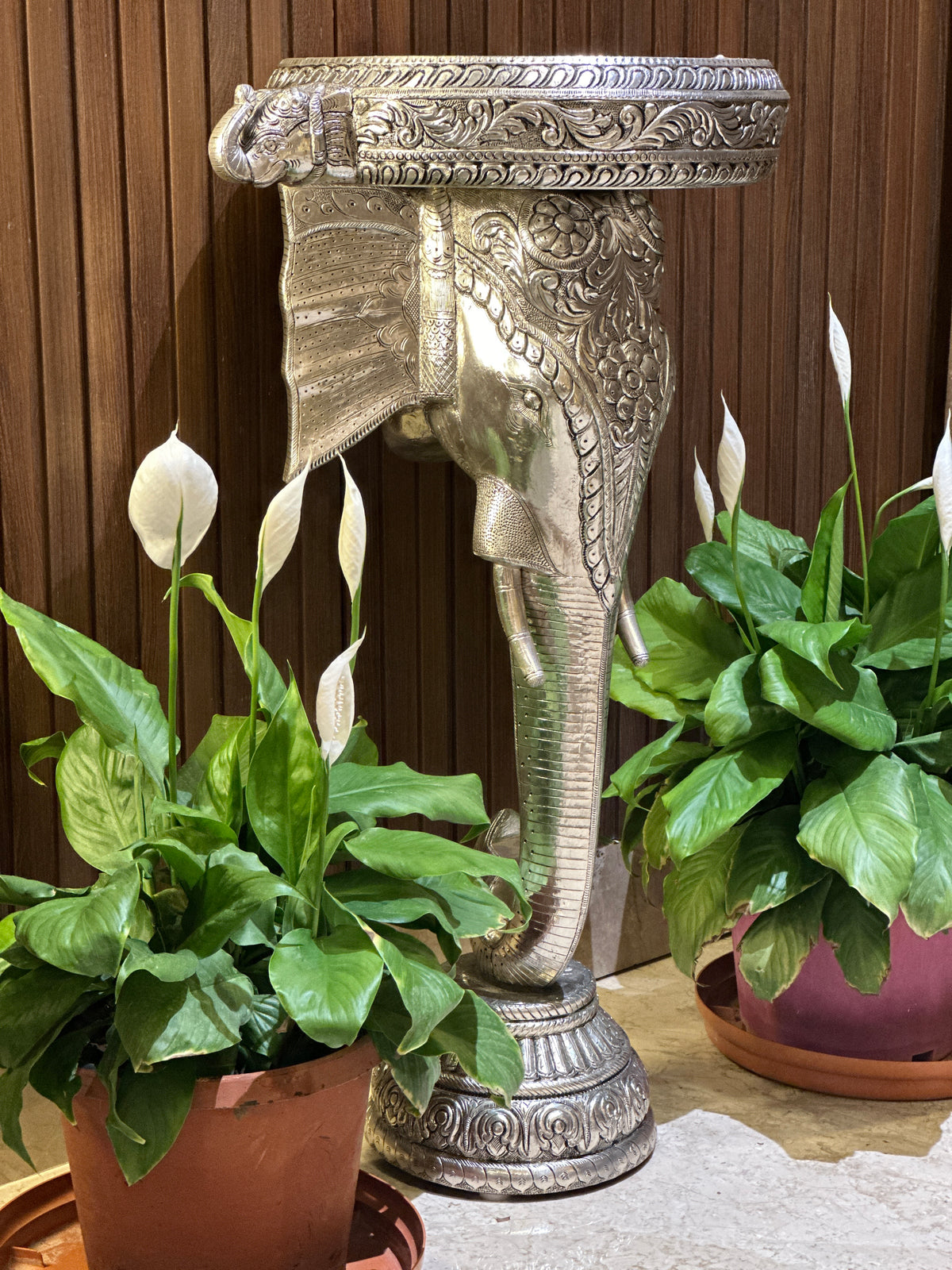 Elephant Standing Urli