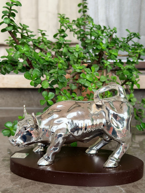 Bull