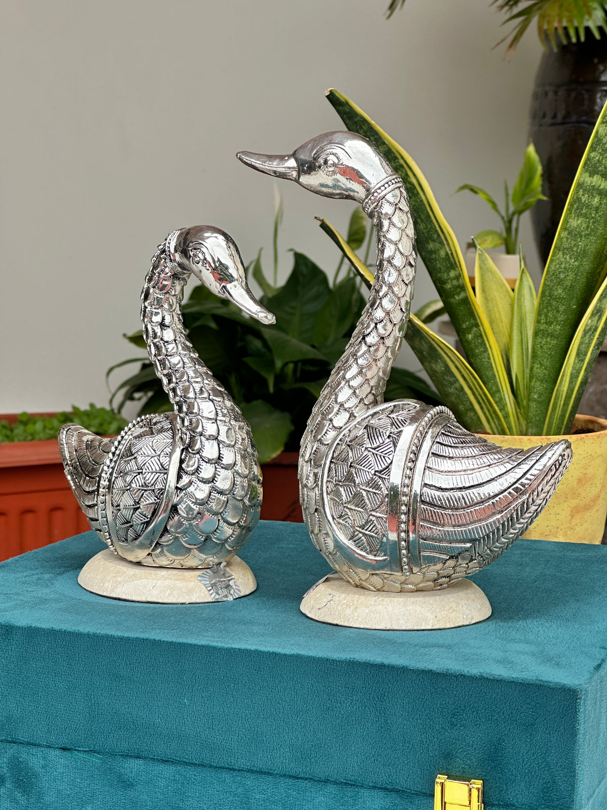 Swan Pair