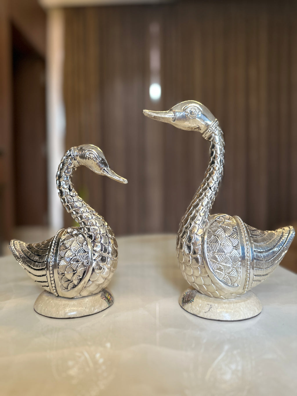 Swan Pair