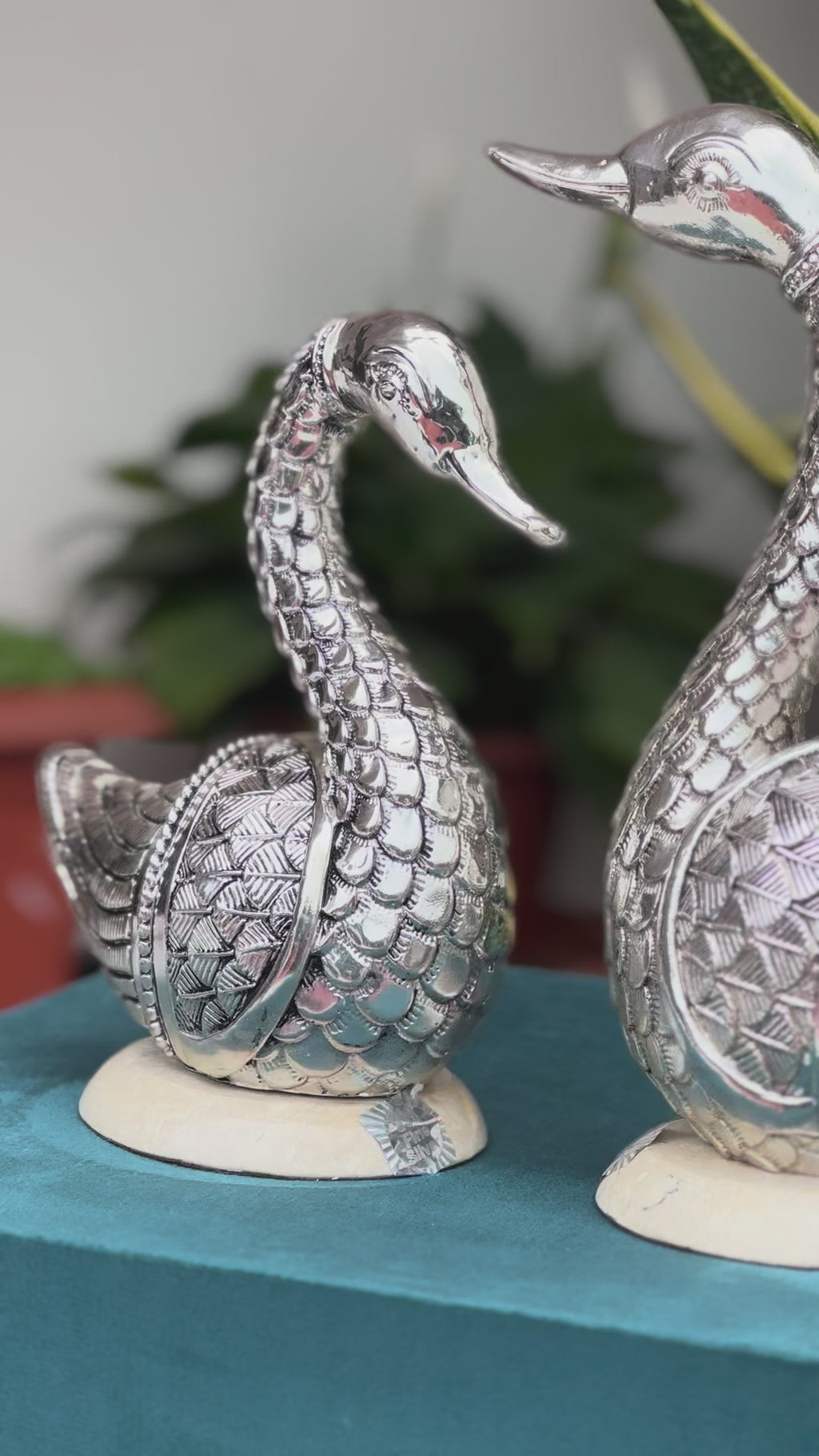 Swan Pair