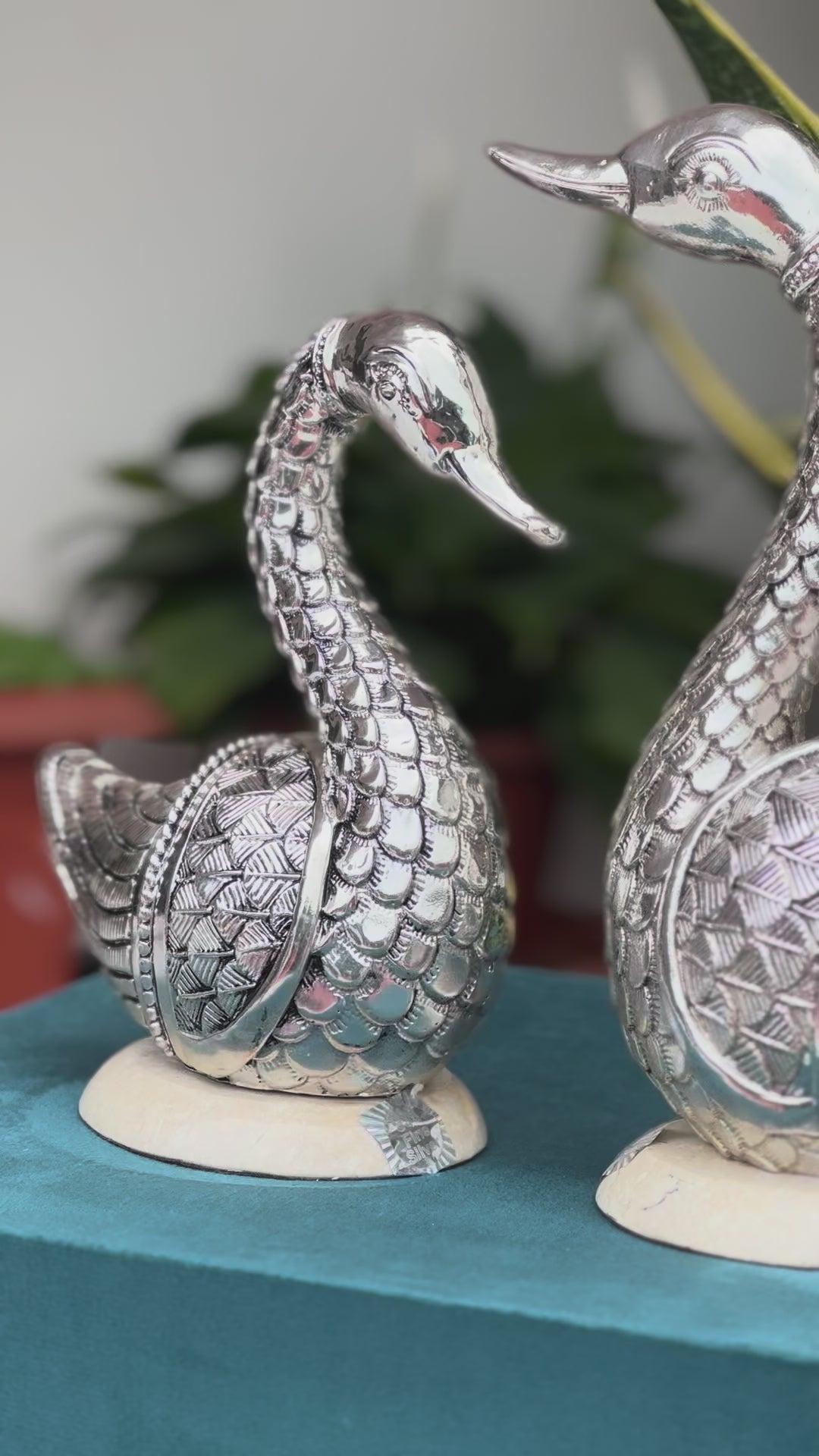 Swan Pair